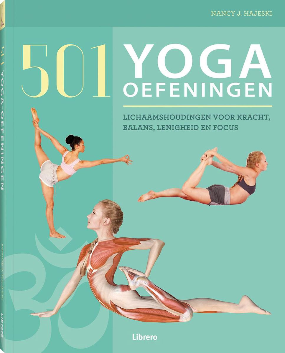 Naincy J. Hajeski 501 Yoga-oefeningen
