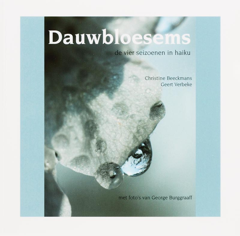 Dauwbloesems