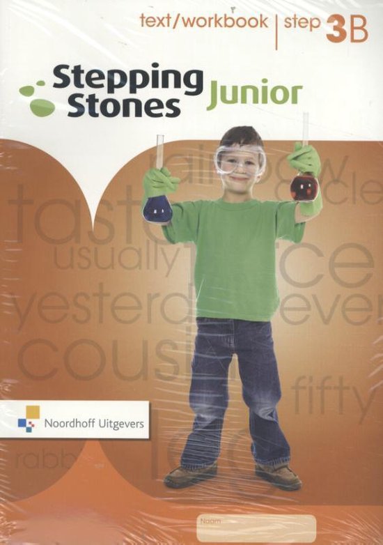 Step 3B / Stepping Stones (5ex) / text/workbook
