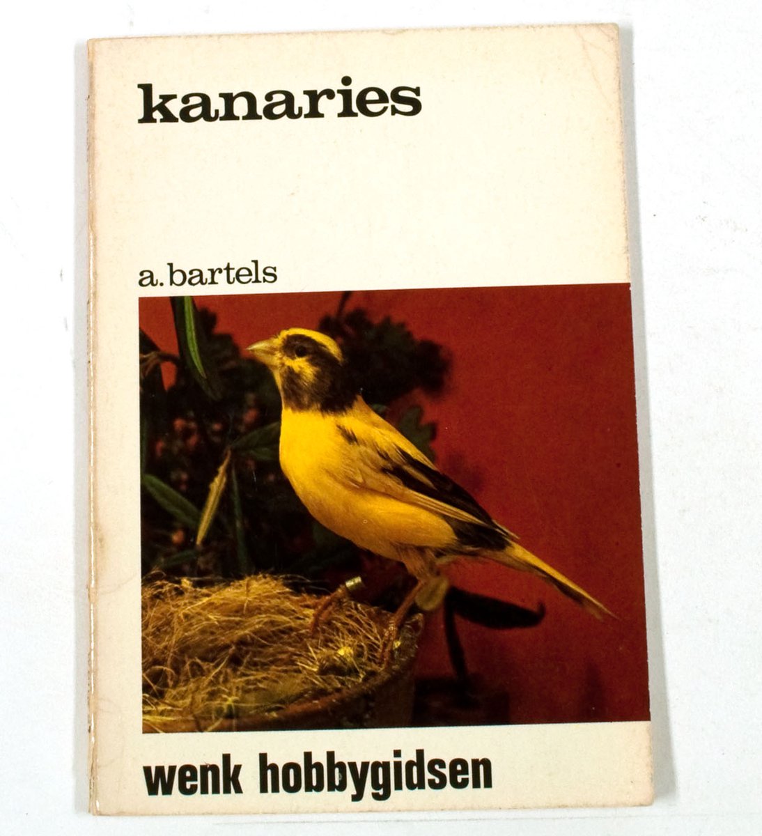 Kanaries - Wenk Hobbygidsen