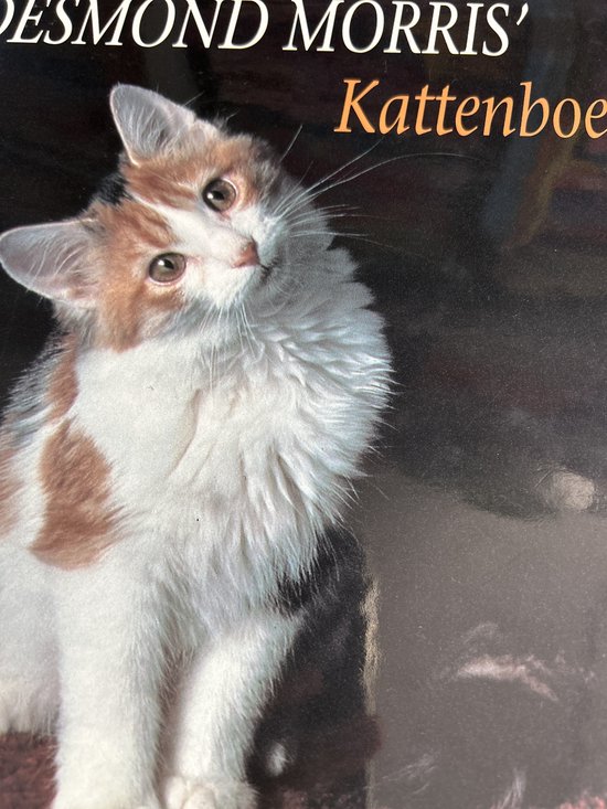 KATTENBOEK