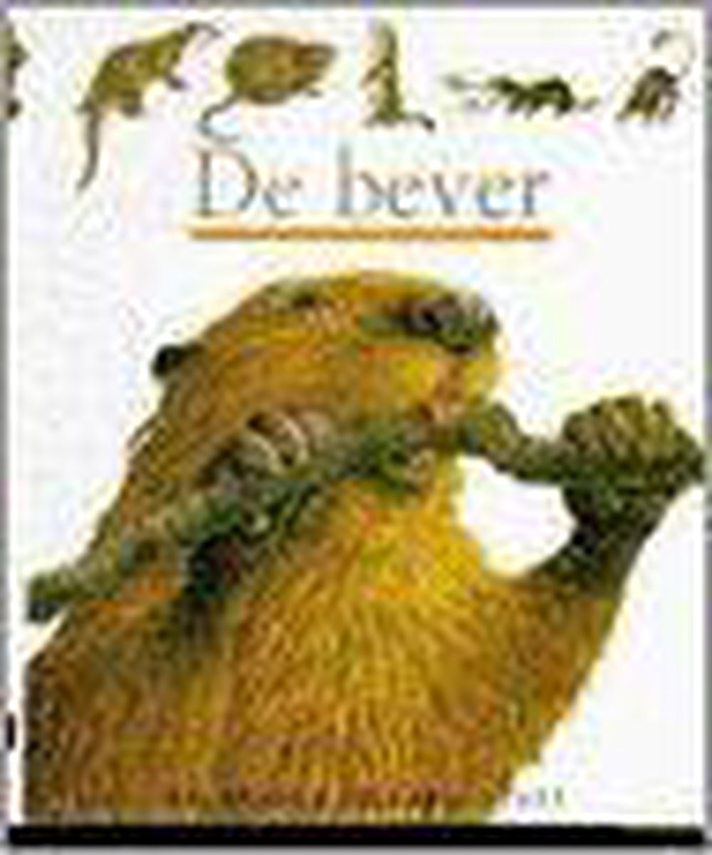 De bever / De wereld op zak Start / 4-14