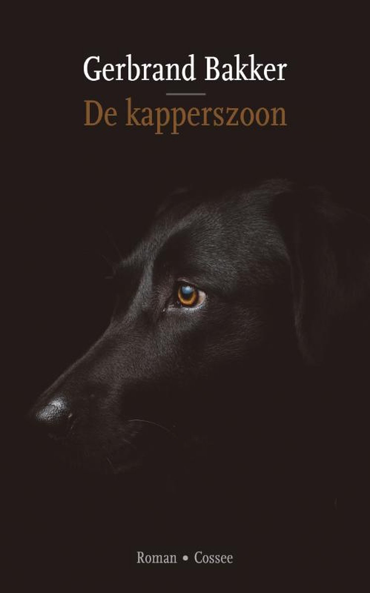 boekenbalie_9789464520019_cover De kapperszoon