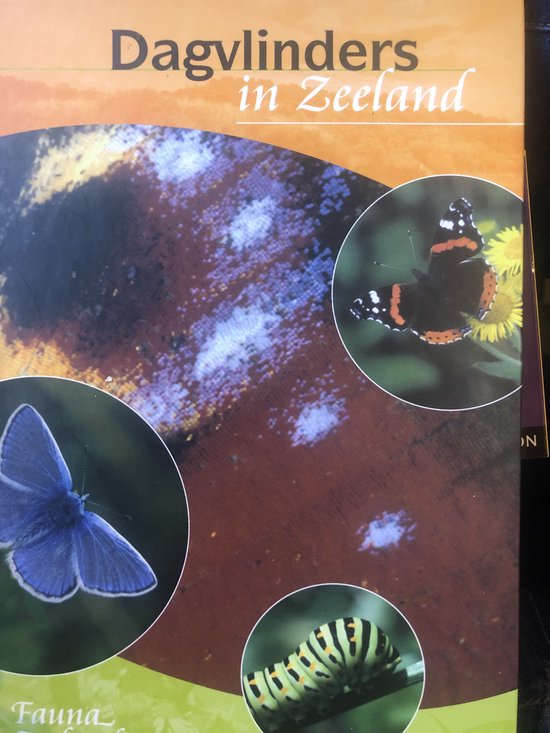 Dagvlinders in Zeeland / 1 / Fauna Zeelandica