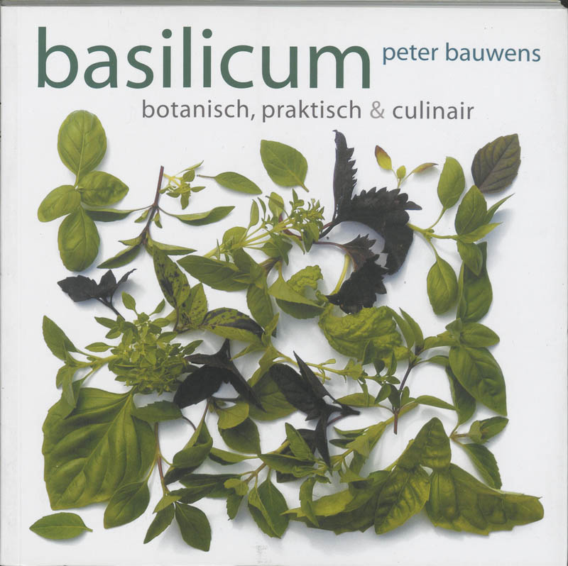 P. Bauwens Basilicum thumbnail