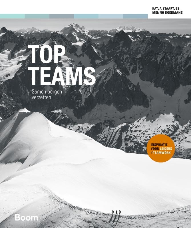 boekenbalie_9789462761728_cover Topteams