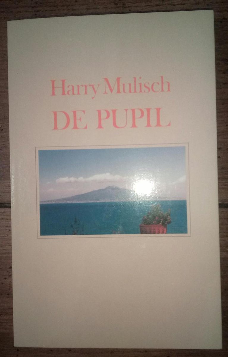 Harry Mulisch Pupil thumbnail