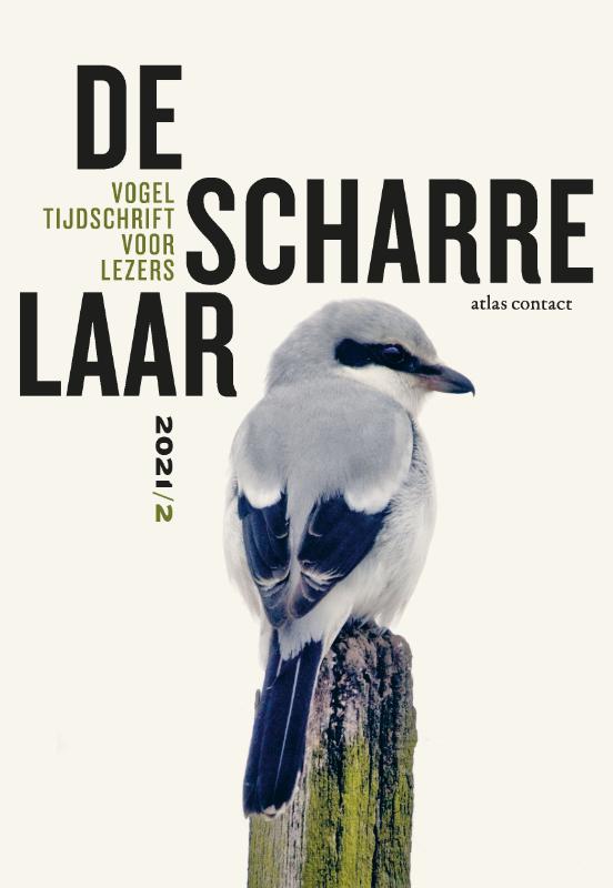 De Scharrelaar / 2021/2 / De Scharrelaar / 6