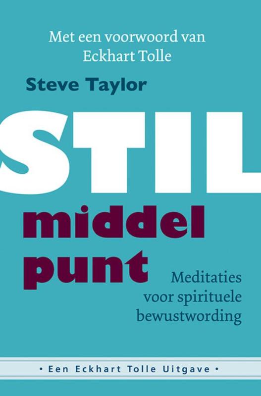 Steve Taylor Stil Middelpunt thumbnail