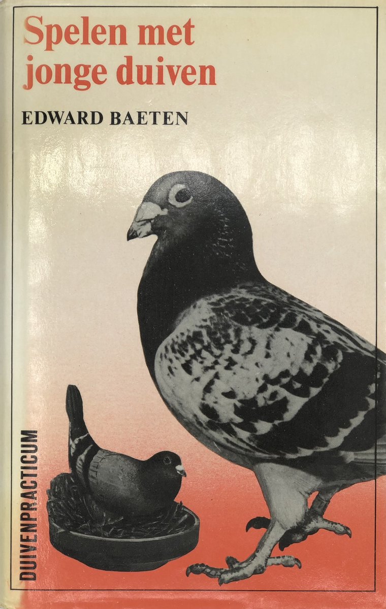 Spelen met jonge duiven - Edward Baeten