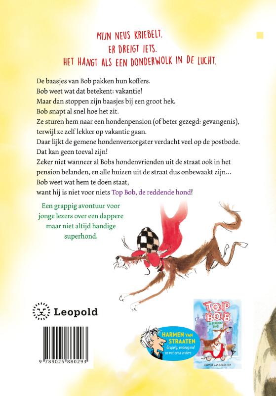 De grote ontsnapping / Top Bob achterkant