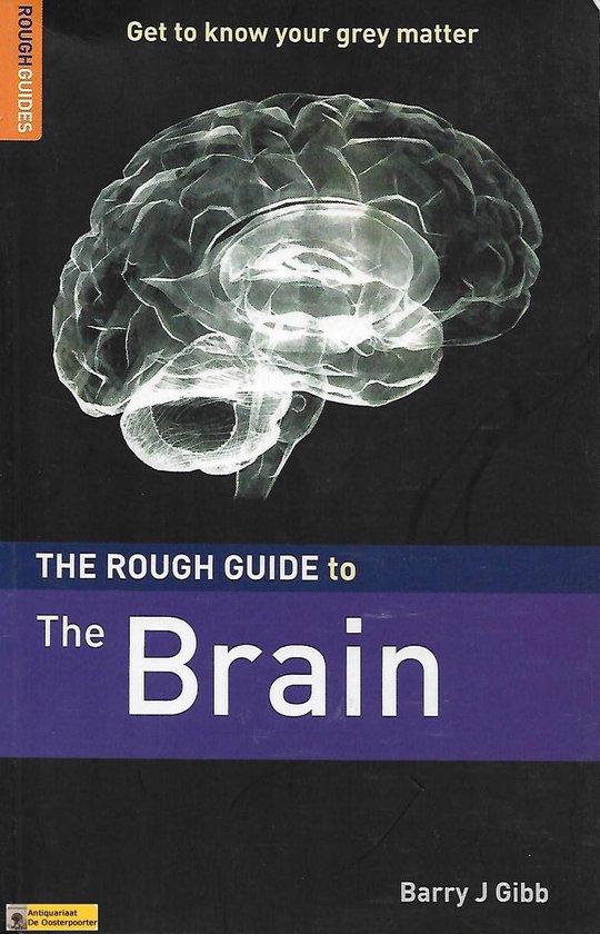 The Rough Guide to the Brain