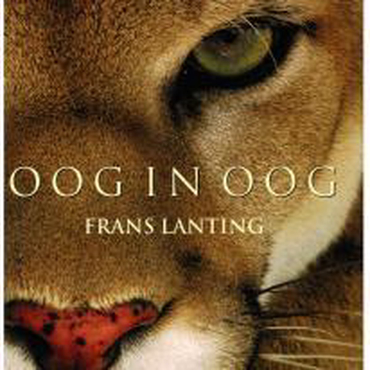 Oog in oog