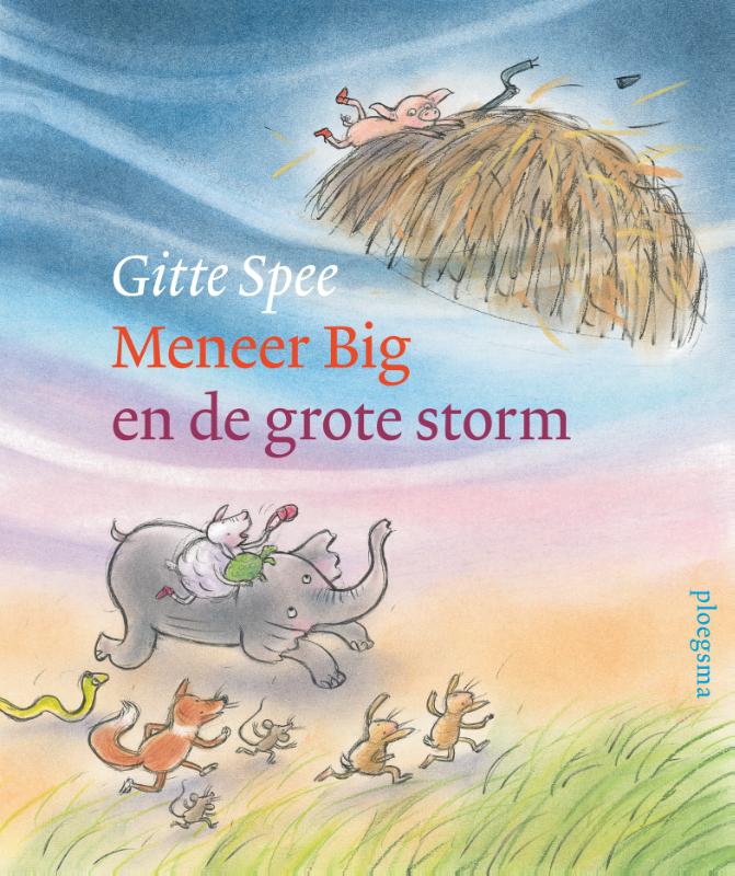 Meneer Big en de grote storm