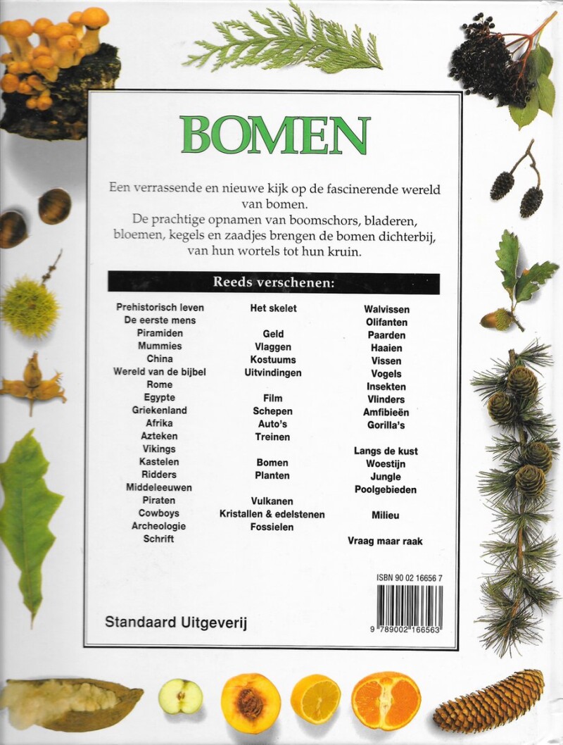 Bomen / Ooggetuigen achterkant