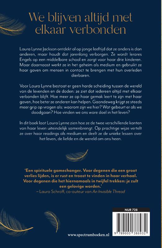 Het licht tussen ons achterkant