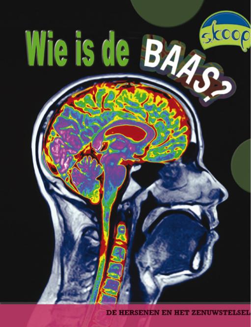 Wie is hier de baas? / Skoop