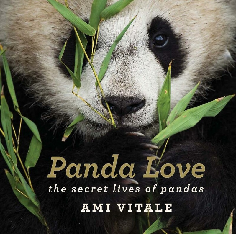 Panda Love