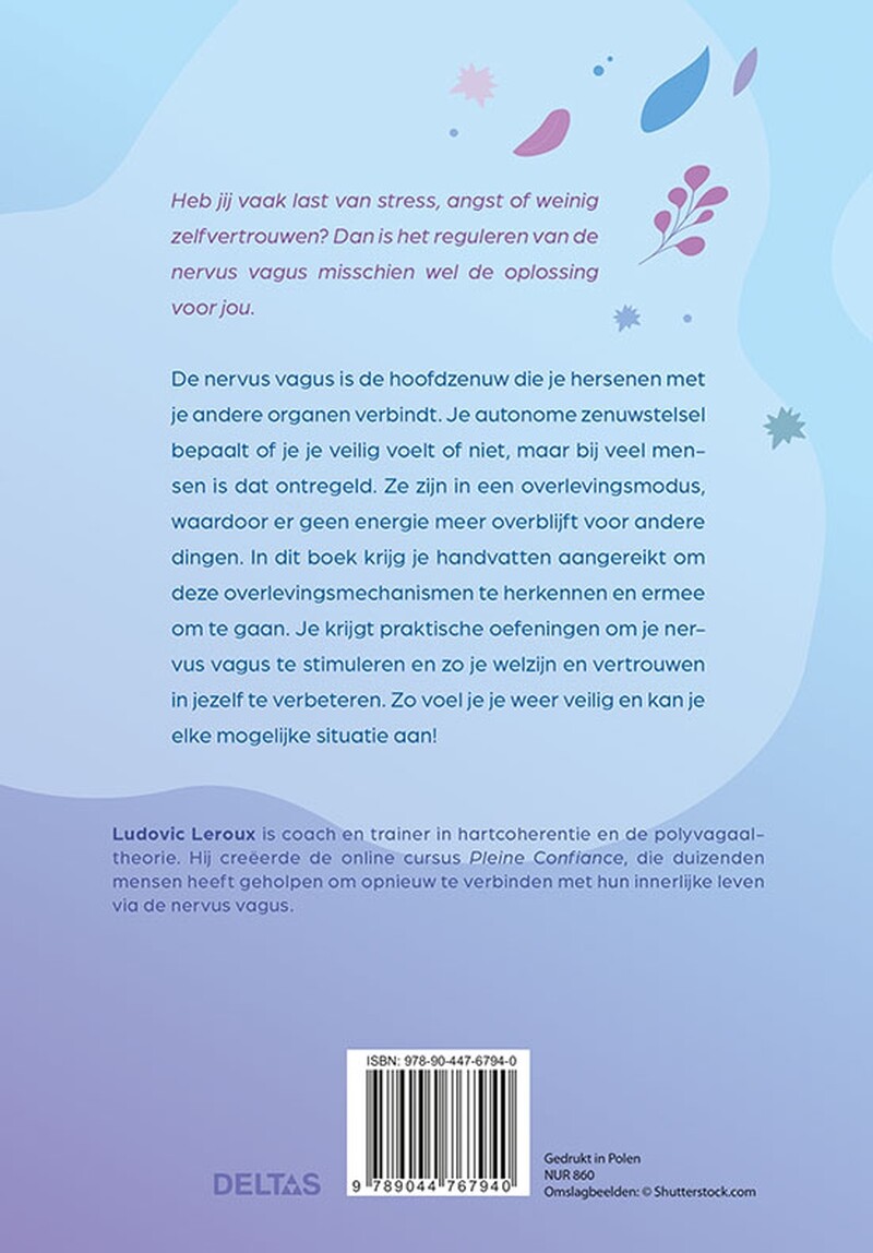 Nervus vagus achterkant