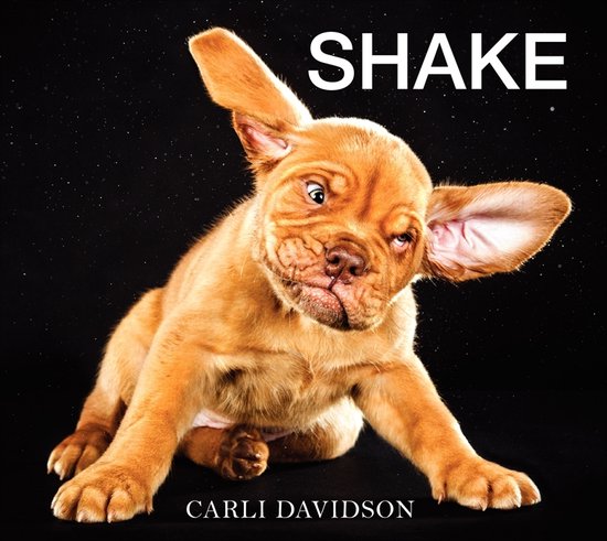 SHAKE