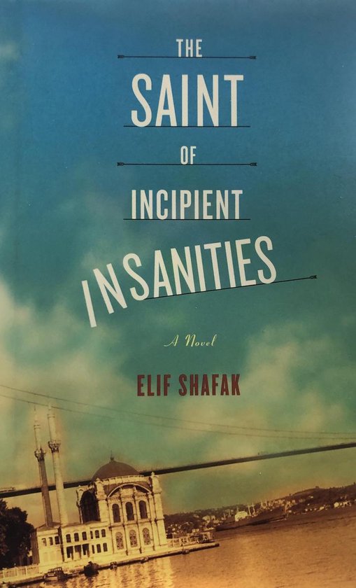 The Saint of Incipient Insanities