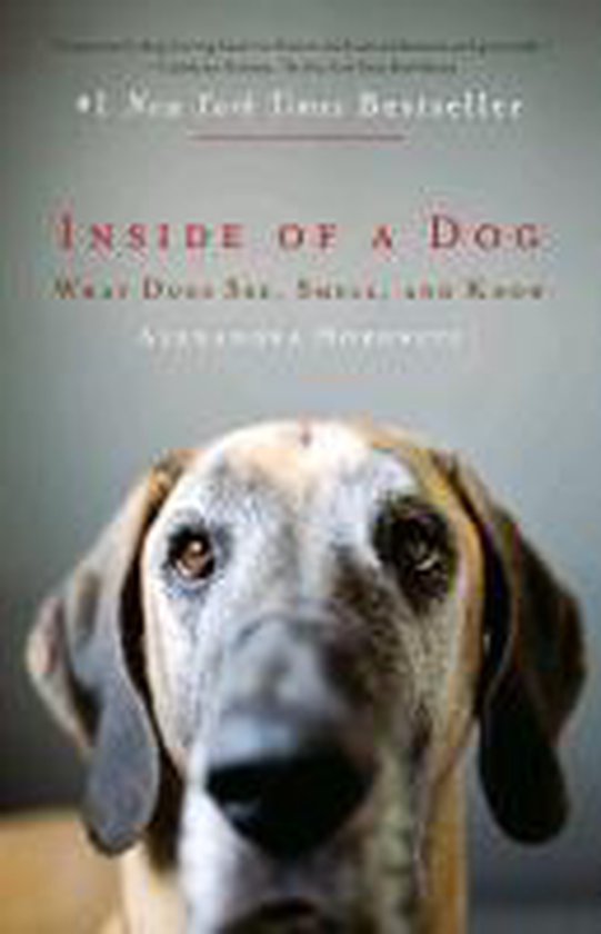 Alexandra Horowitz Inside Of A Dog, What Dogs See, Smell, And Know