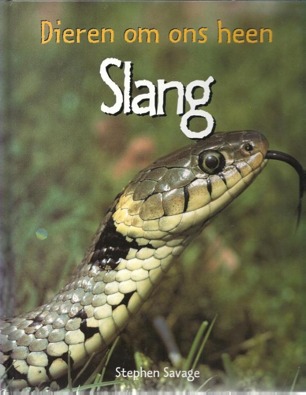 Slang / Dieren om ons heen