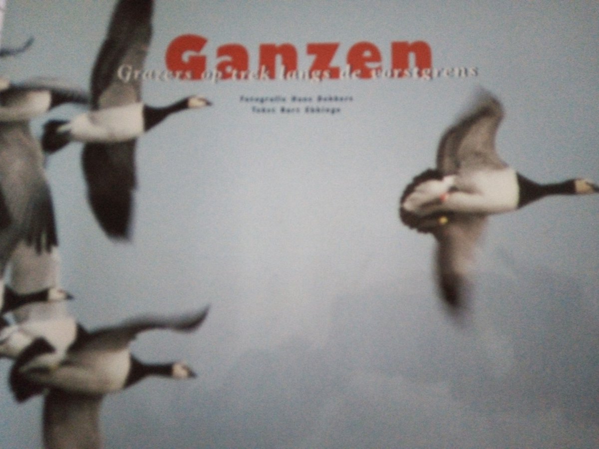 boekenbalie_9789060974469_cover Ganzen