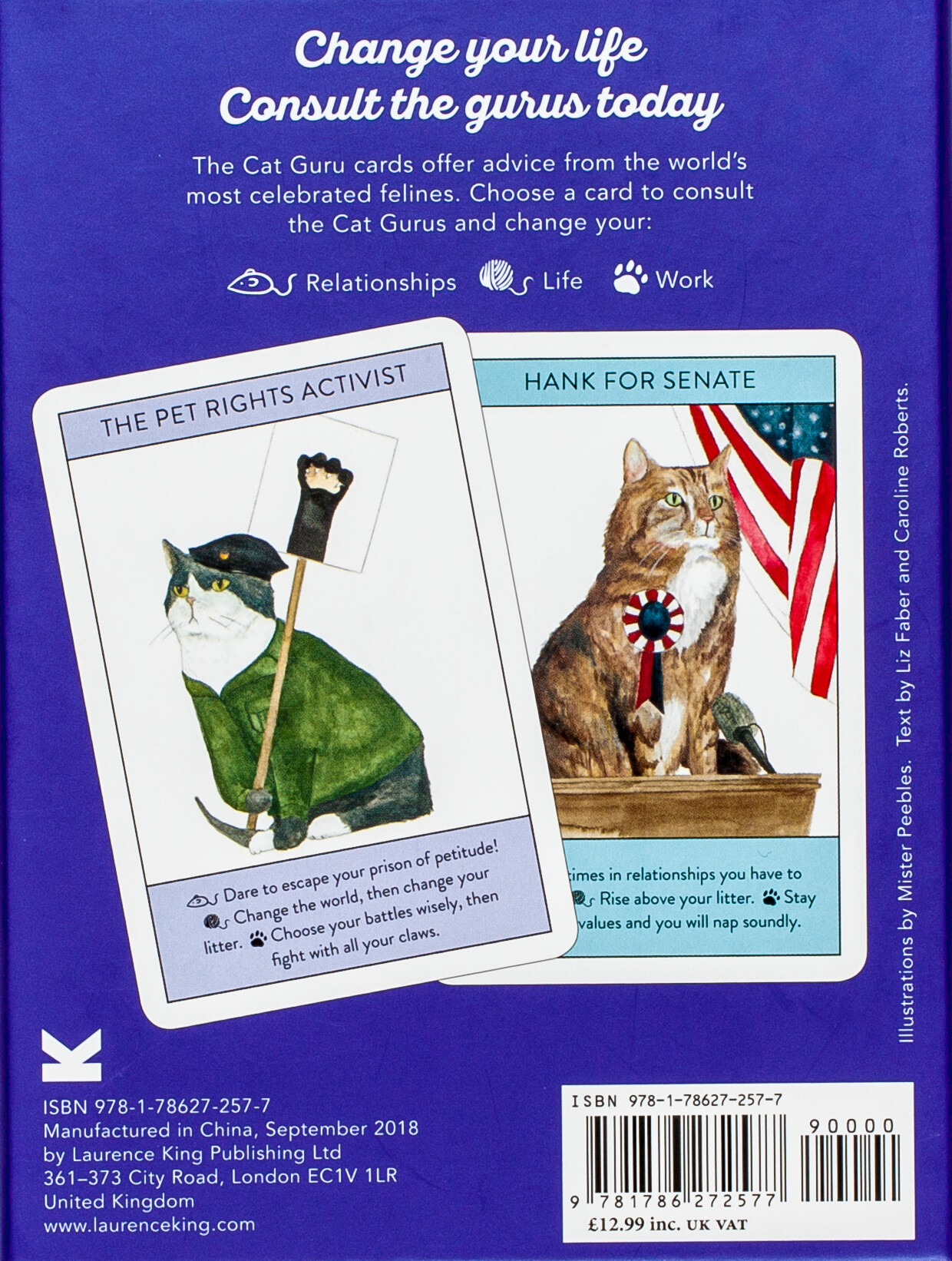 Cat Gurus achterkant