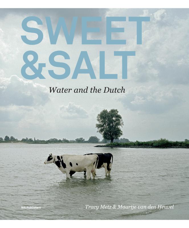 Tracy Metz Sweet & Salt thumbnail