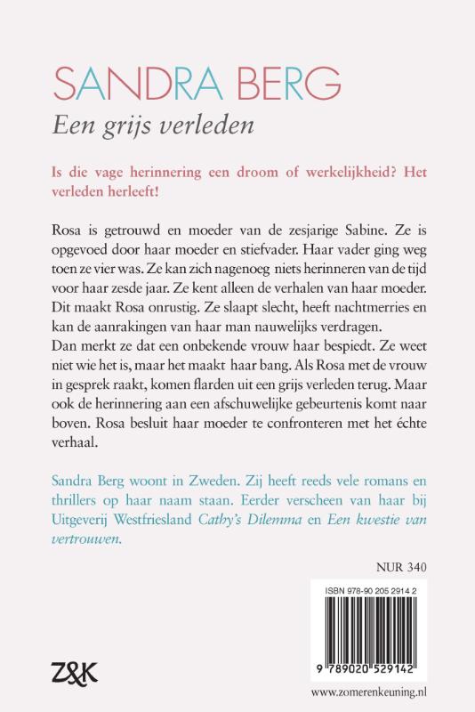 Een grijs verleden achterkant