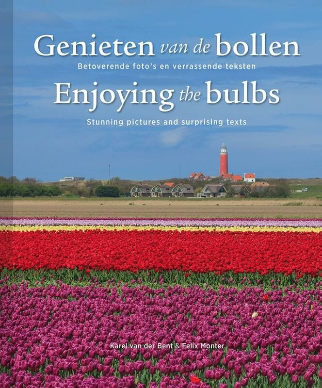 Genieten van de bollen, Enjoying the bulbs