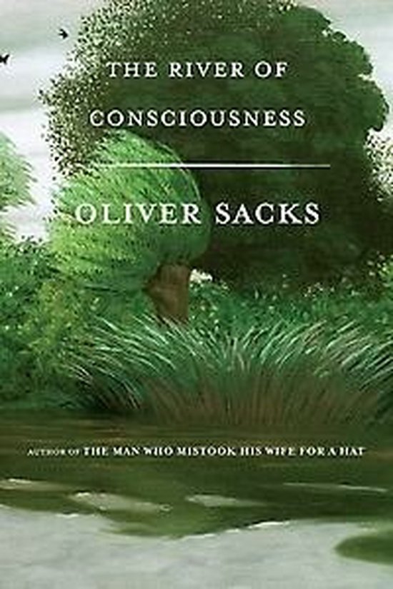 The river of consciousness