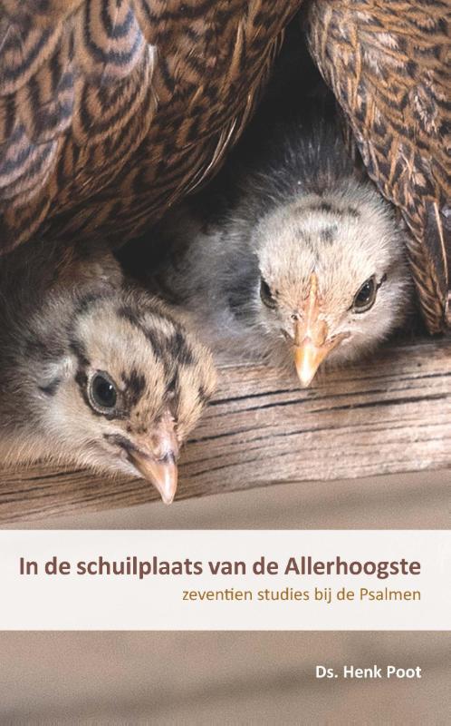 boekenbalie_9789085202851_cover In de schuilplaats van de Allerhoogste