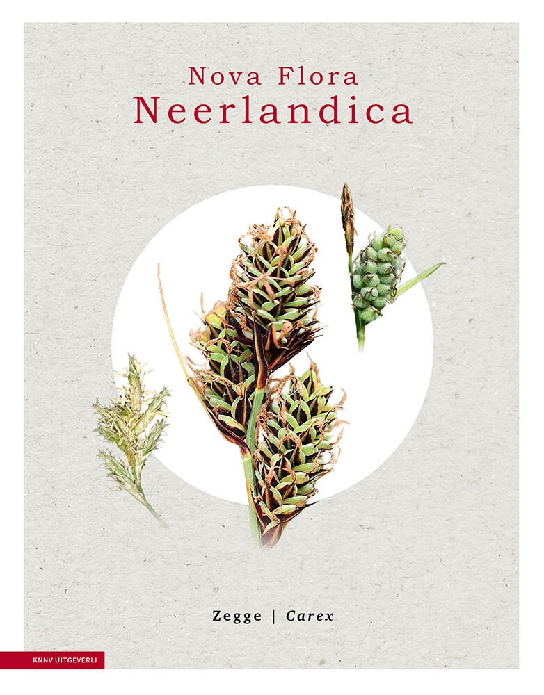 Zegge - Carex / Nova Flora Neerlandica / 2