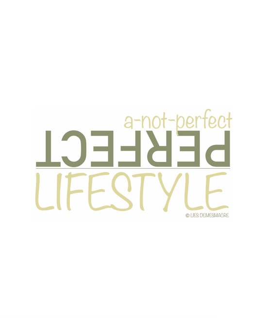boekenbalie_9789464448474_cover A-not-perfect perfect lifestyle