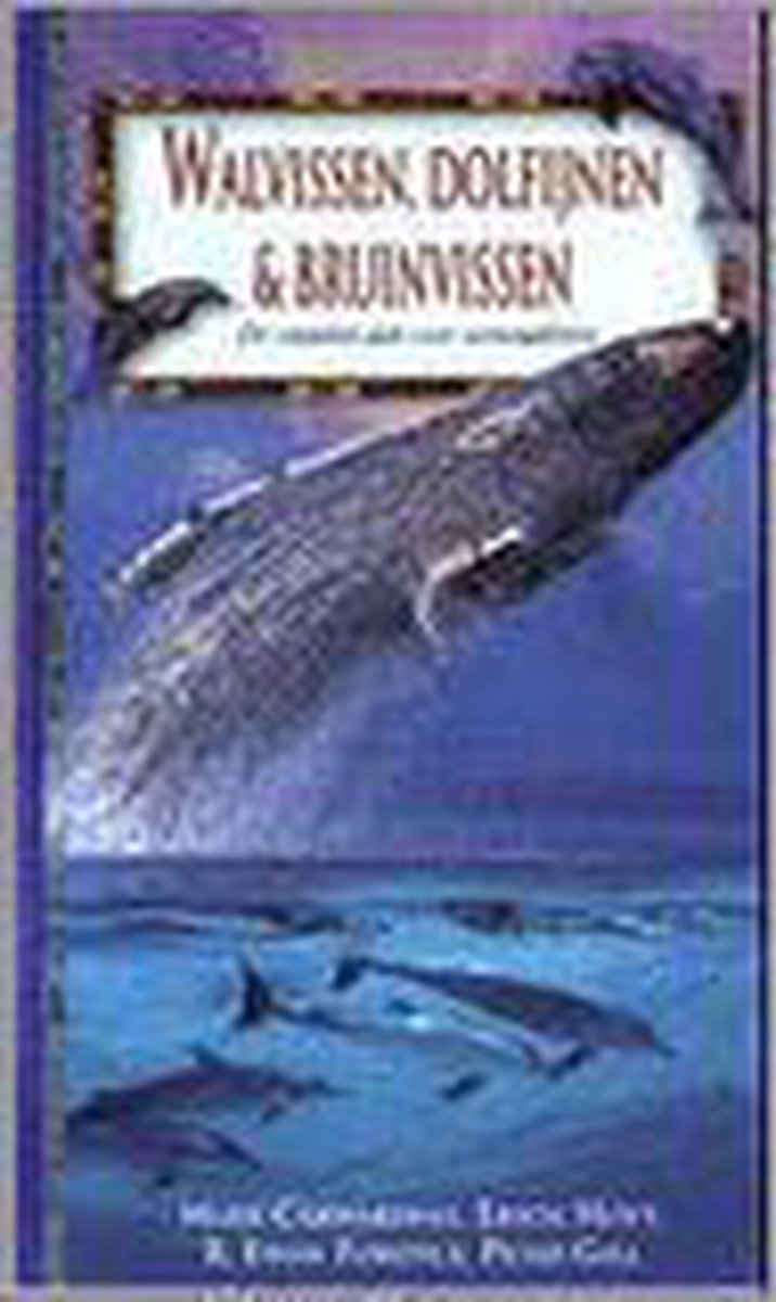Walvissen, dolfijnen & bruinvissen