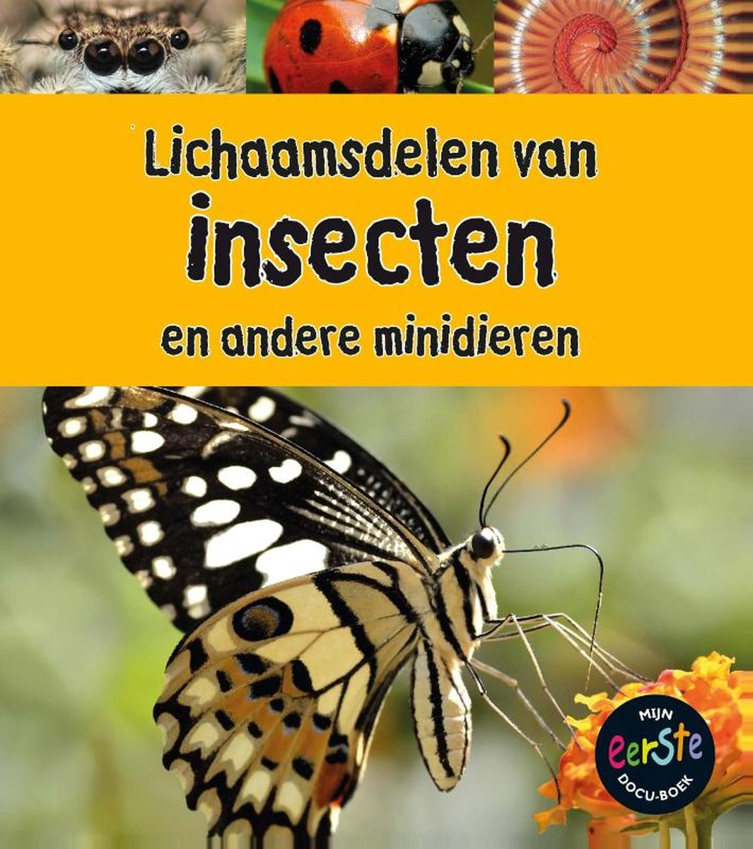Onder de loep - Lichaamsdelen van insecten