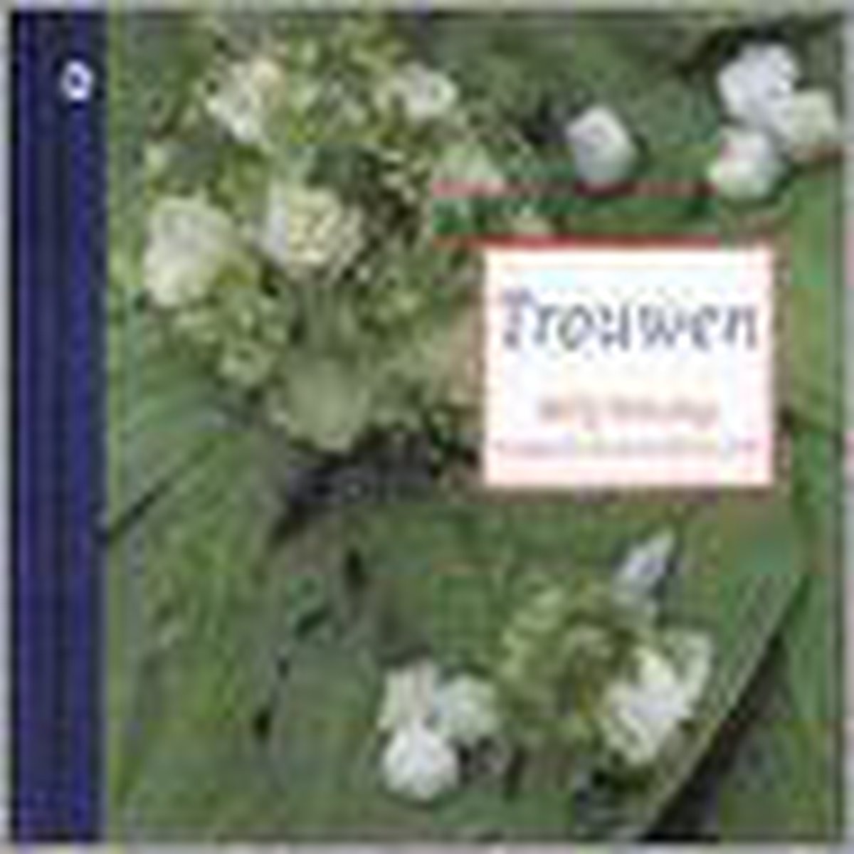 boekenbalie_9789044304695_cover Trouwen