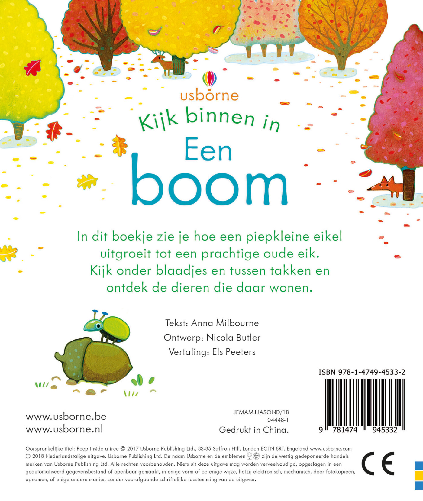 Kijk binnen in een boom achterkant