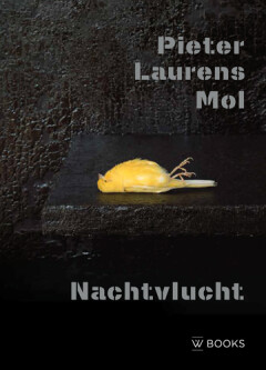 Pieter Laurens Mol