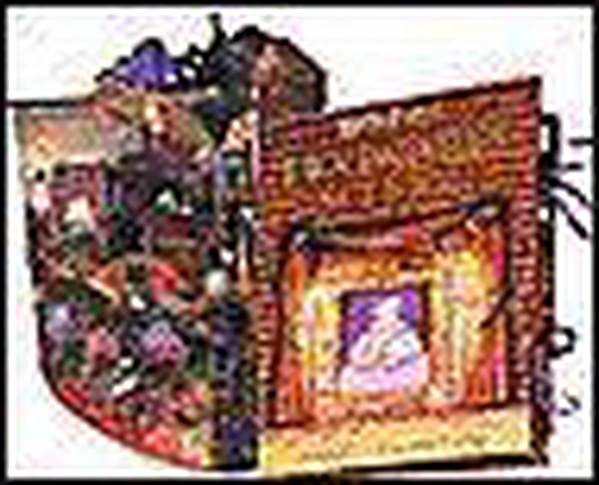 boekenbalie_9789054445494_cover Zweinstein's Hogeschool Carrouselbo