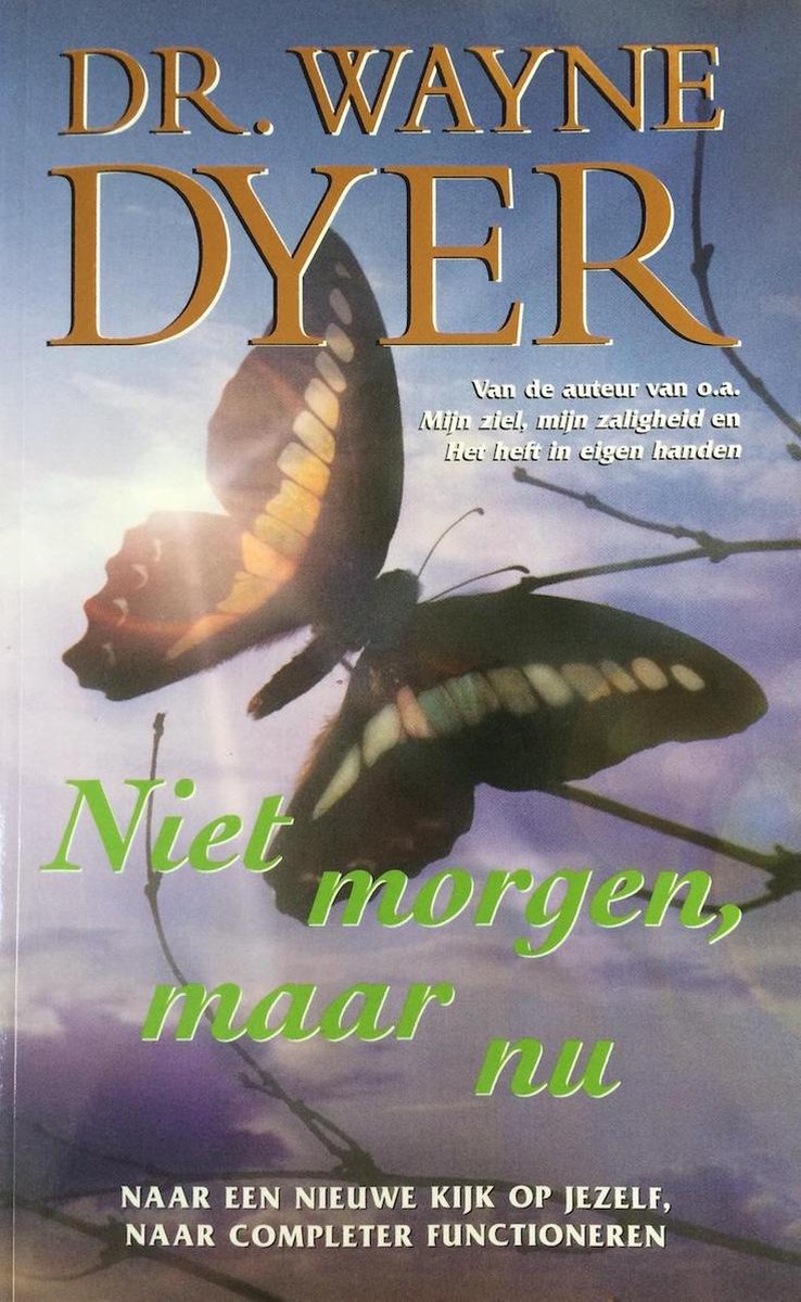 boekenbalie_9789022983782_cover Niet morgen, maar nu