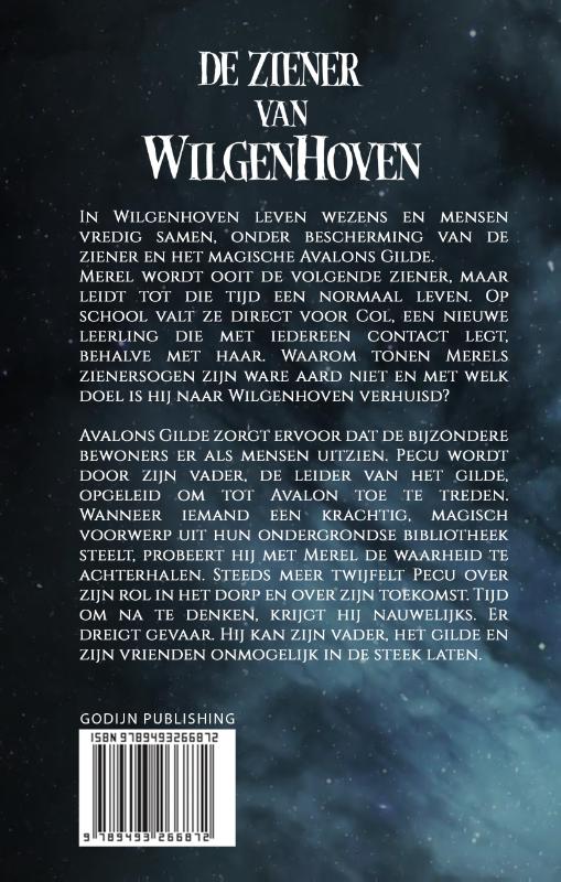 De ziener van Wilgenhoven / De ziener van Wilgenhoven achterkant
