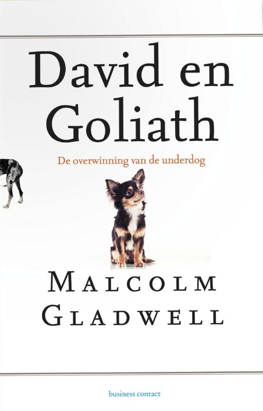 boekenbalie_9789047006275_cover David en Goliath