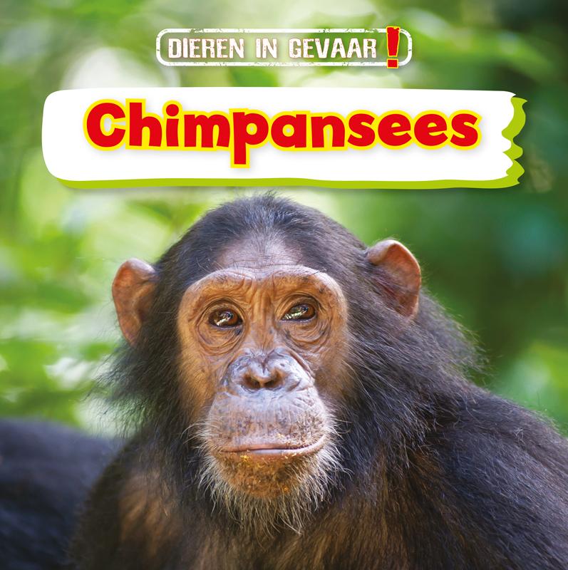 Chimpansees / Dieren in gevaar!