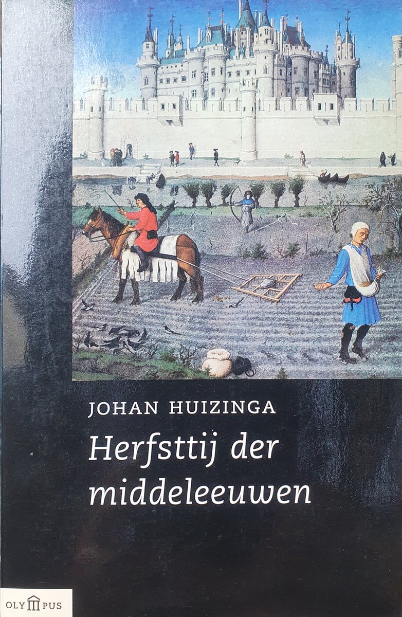 Johan Huizinga Herfsttij Der Middeleeuwen / Perpetuareeks