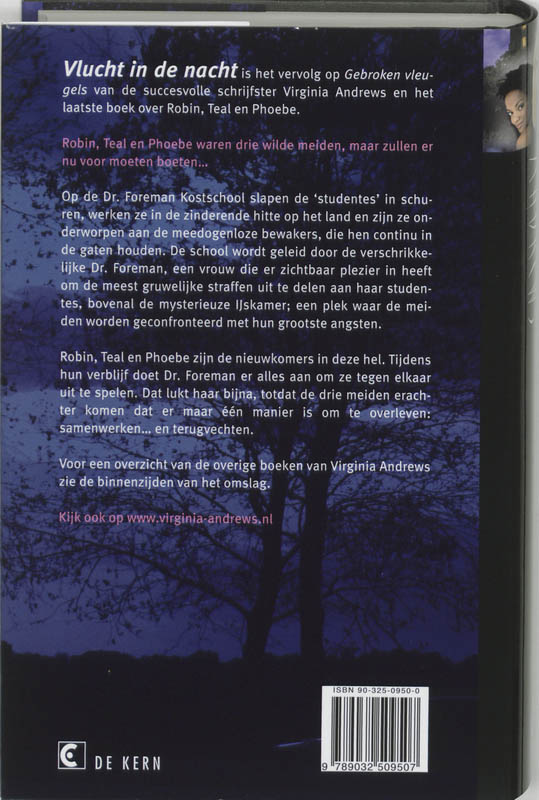 Vlucht in de nacht / Gebroken vleugels / 2 Vlucht in de nacht / Gebroken vleugels / 2 achterkant
