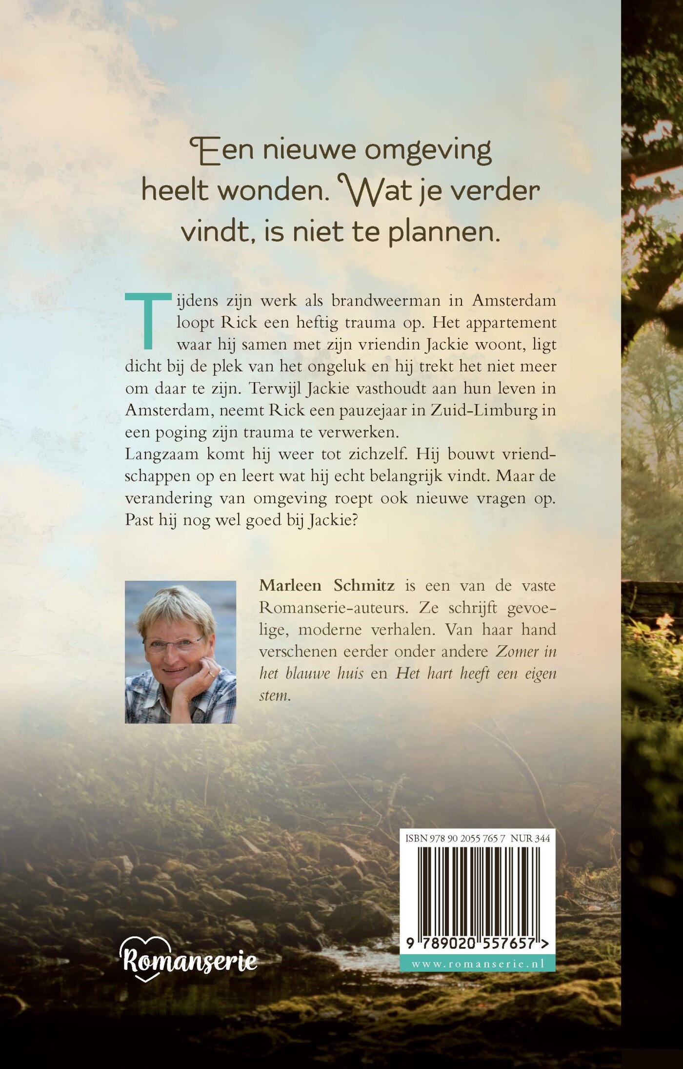 Blijf niet omzien / Romanserie achterkant