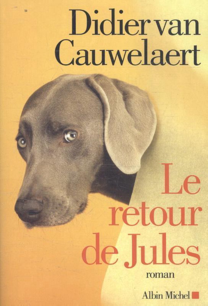 Le retour de Jules